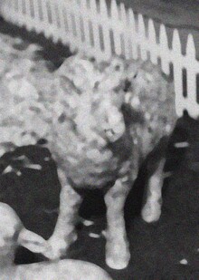 Заключение.