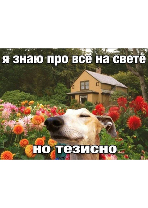 хиппипипипи