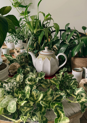 Communication Theory: Plantea