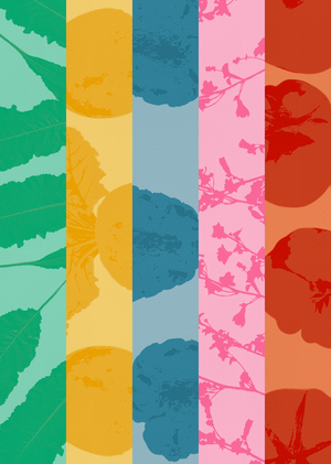 udobri: communication theory