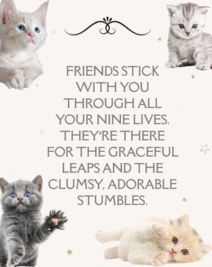 Kittens
