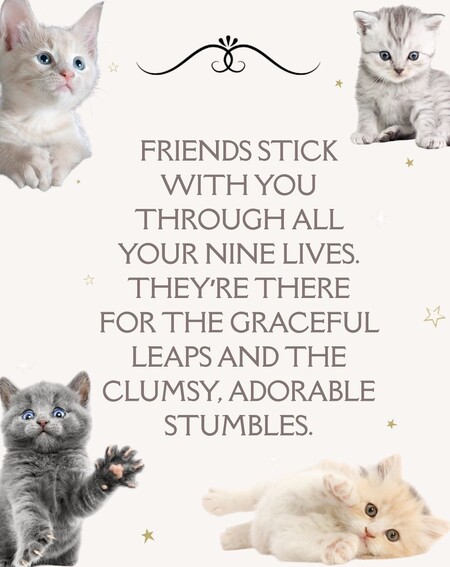 Kittens