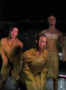 Дрессинг перформеров Pink Dance Company