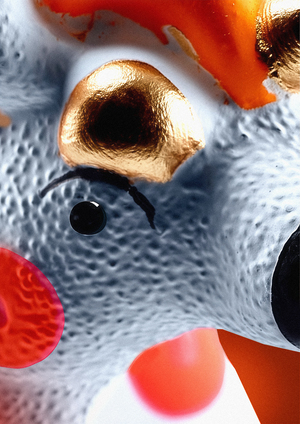 Symbols You Can Wear: SVISTOPLYASKA as a Communication System