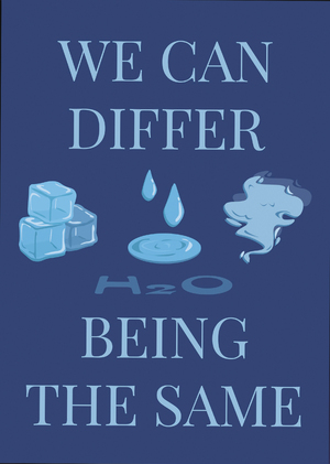 We Can Differ Being The Same