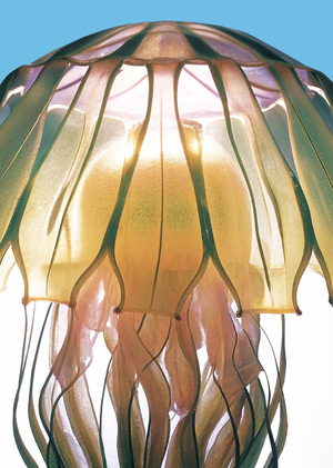 Communication System: Pelagia