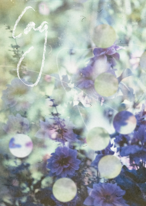 САД [Семинар антропологов и дизайнеров]