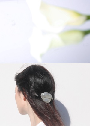 Communication theory: aër