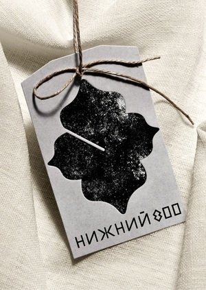 Communication theory: Nizniy800