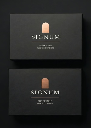  SIGNUM — communication theory