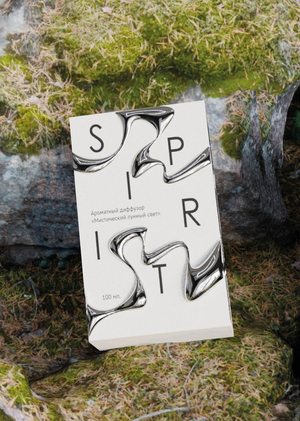 Сommunication strategy: SPIRIT