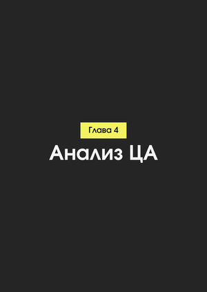 Глава 4: Анализ целевой аудитории