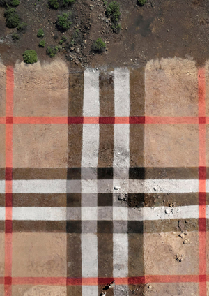 Анализ клиентов Burberry. Портрет покупателя