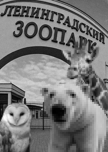 Навигация в Ленинградском зоопарке Навигация в Ленинградском зоопарке