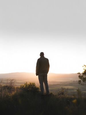 Проблема адаптации участников военных конфликтов в мирной жизни.