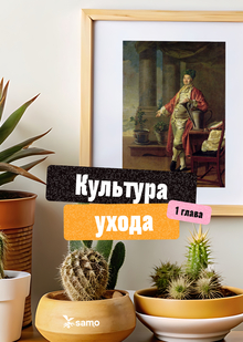 Культура ухода за&nbsp;комнатными растениями