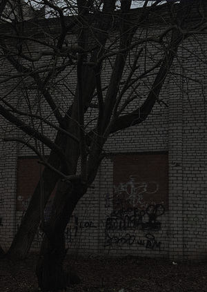 Когда город слушает