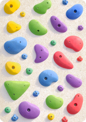 Профессиональное скалолазание в период 1991-2024