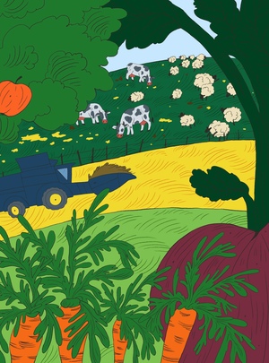 Какая в России земля?