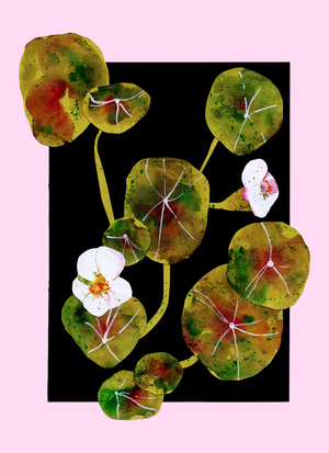 Истории в цветах