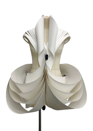 пластическое моделирование