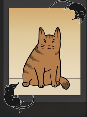 Человек и крысы