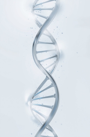 Отбор эмбрионов система KAR/SAR