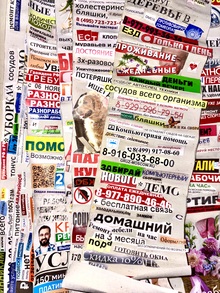 Графическая серия «Королевская летопись»