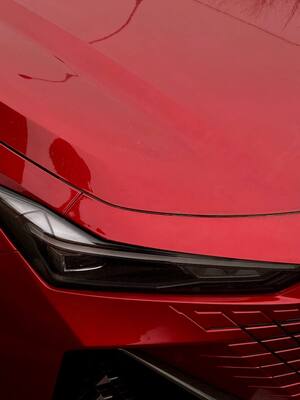 Современная фотография. Режиссура кадра