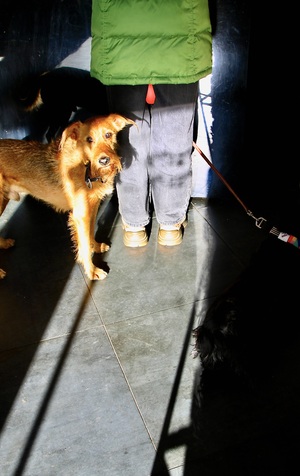 Фотография: цвет и линия в городской среде