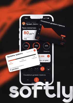 Softly | Продуктовое исследование