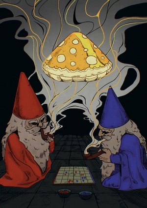 Столкновение мудрых гномов