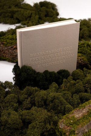 Визуальный код Русского Севера: симбиоз природы и человека