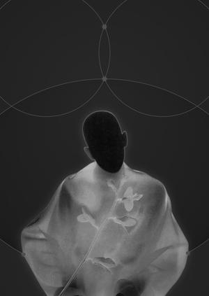 Duma | Визуальное исследование