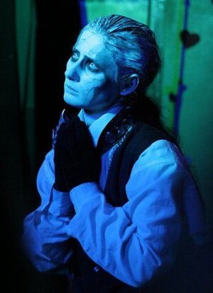 Анализ дискографии группы Otto Dix