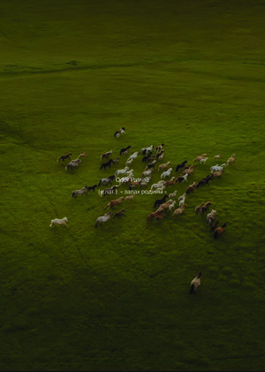 маркетинговая кампания для бренда Odor Patriae