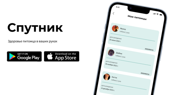 Лендинг для приложения Спутник