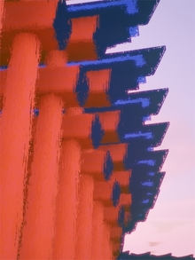 Tori-mori