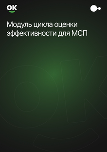 Модуль цикла оценки эффективности для МСП