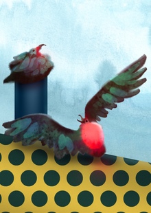 Птичьи ритуалы