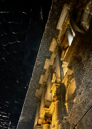 Отражённый Петербург