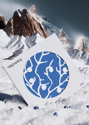 СЕВЕРЯГ — коммуникационный бриф бренда диких ягод в сахаре