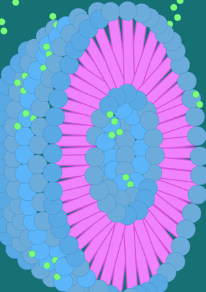 Плакаты для Acron