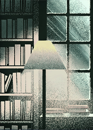 Анализ книжной литературы 