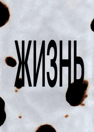 Адское МФЦ «С.И.Н»