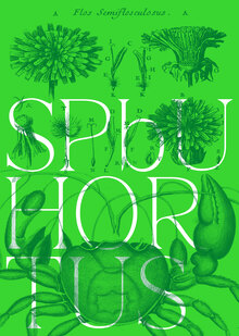 SPBU HORTUS