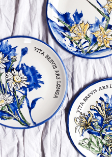 Vita brevis, ars longa