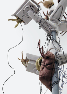 Наблюдение