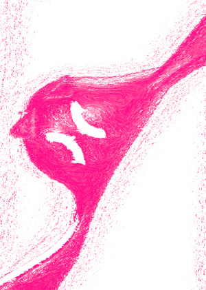 плакаты для таможни ОКАК