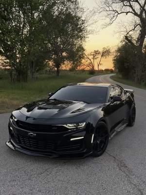Анализ данных о гоночных автомобилях Chevrolet Camaro